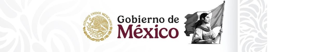 Gobierno de México